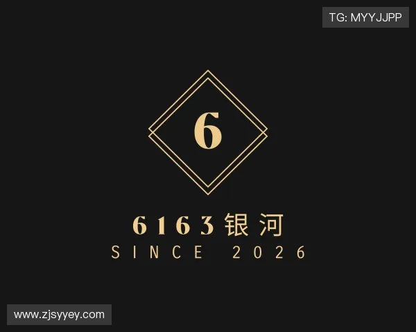 了解6163银河